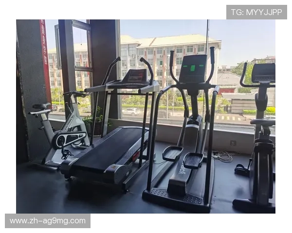 常用家庭健身器材推荐及实用价值分析