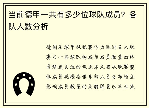 当前德甲一共有多少位球队成员？各队人数分析